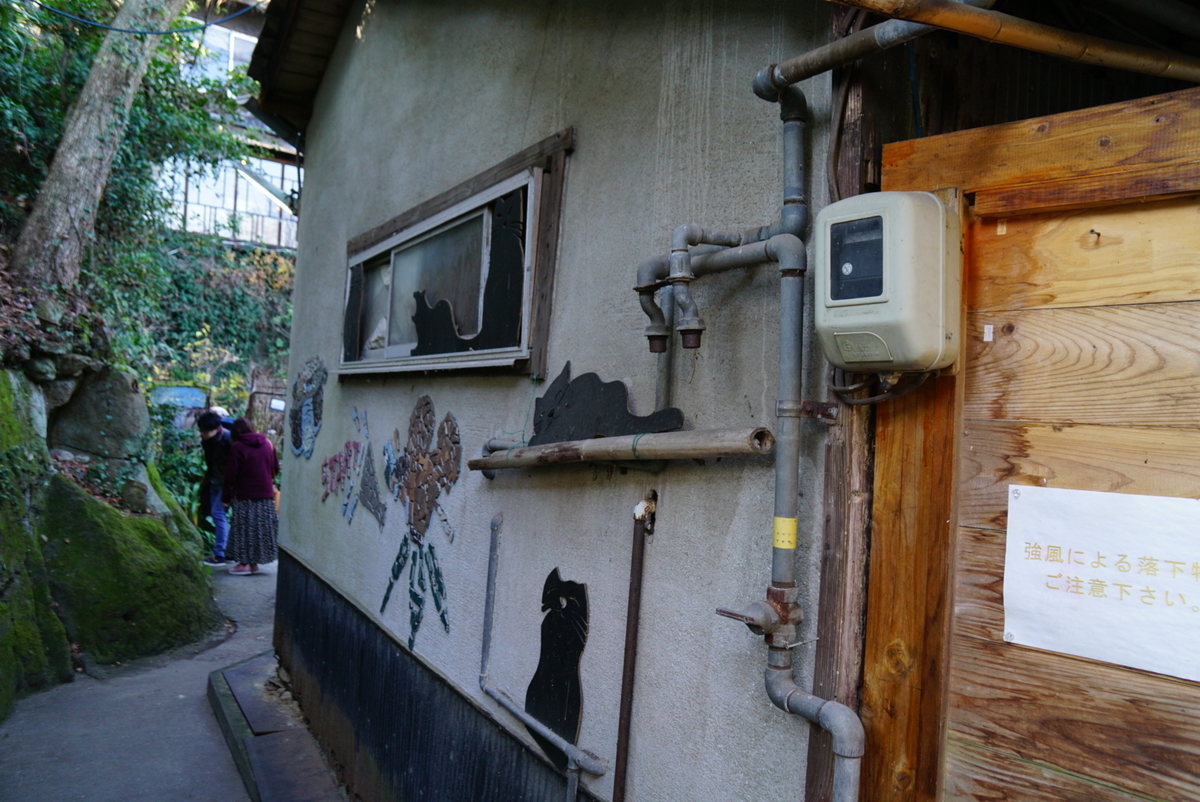 f:id:matsuko-555:20200129222111j:plain f:id:matsuko-555:20200129222111j:plain