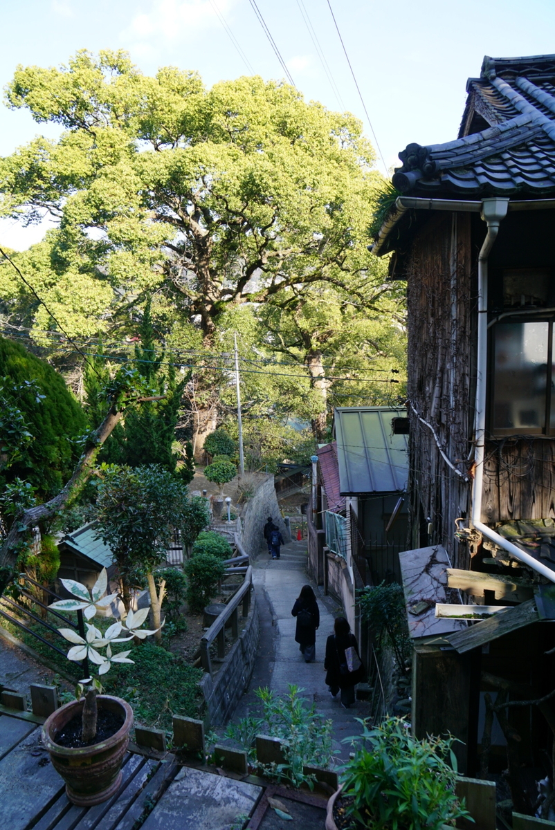 f:id:matsuko-555:20200129223009j:plain f:id:matsuko-555:20200129223009j:plain