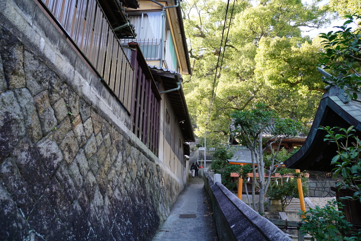 f:id:matsuko-555:20200129223314j:plain f:id:matsuko-555:20200129223314j:plain