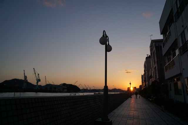 f:id:matsuko-555:20200211053635j:image f:id:matsuko-555:20200211053635j:image
