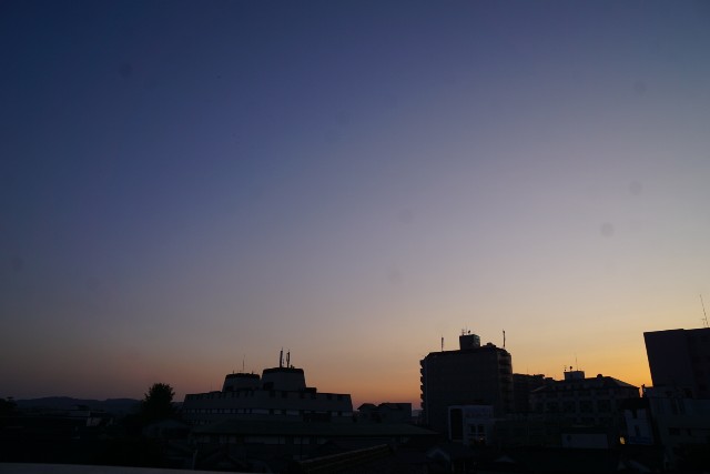 f:id:matsuko-555:20201101133904j:image f:id:matsuko-555:20201101133904j:image