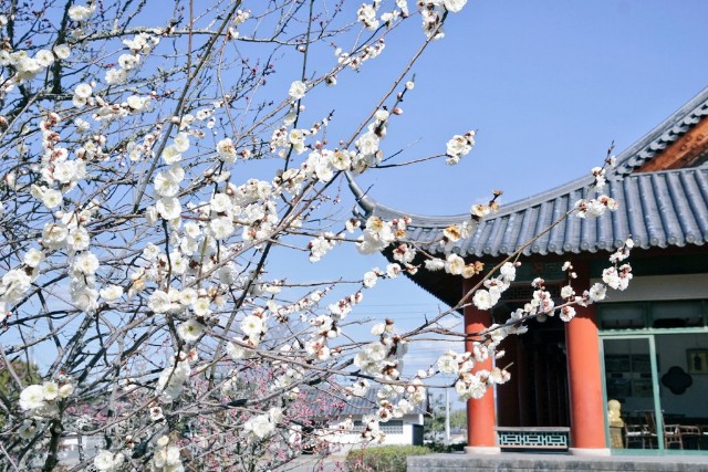 f:id:matsuko-555:20210111221441j:image f:id:matsuko-555:20210111221441j:image