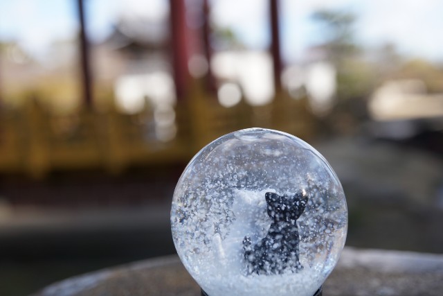 f:id:matsuko-555:20210111225629j:image f:id:matsuko-555:20210111225629j:image