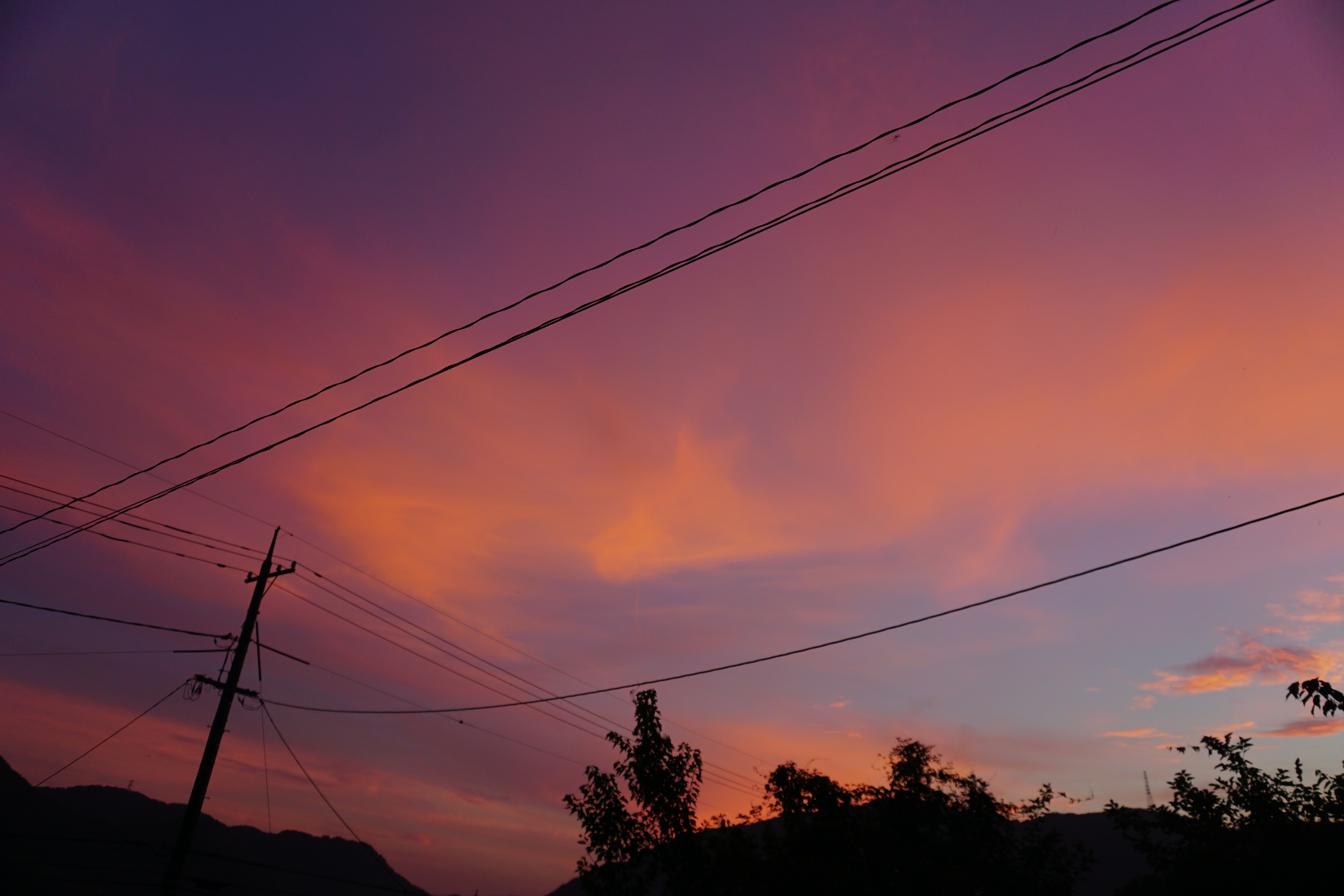 f:id:matsuko-555:20210214183707j:image f:id:matsuko-555:20210214183707j:image
