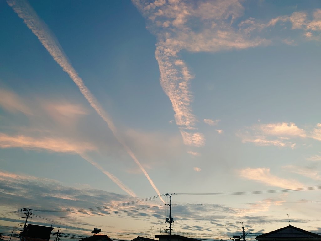 f:id:matsuko-555:20210617233256j:image f:id:matsuko-555:20210617233256j:image