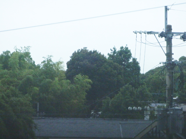 f:id:matsumarustore:20180706082703j:image:w360 f:id:matsumarustore:20180706082703j:image:w360