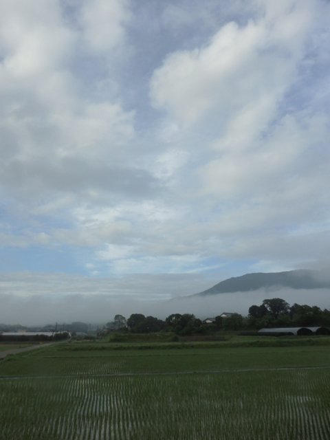 f:id:matsumarustore:20180709070634j:image:w360 f:id:matsumarustore:20180709070634j:image:w360