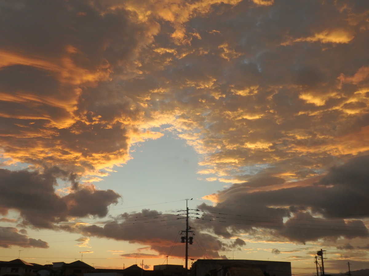 f:id:matsumarustore:20201119065048j:plain