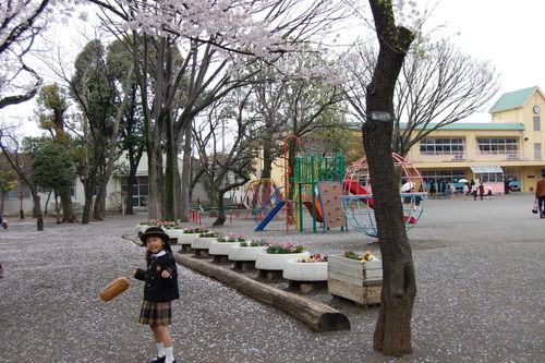f:id:matsumatsuko:20120411093640j:image