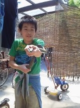f:id:matsumatsuko:20130521114138j:image f:id:matsumatsuko:20130521114138j:image