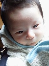 f:id:matsumatsuko:20130521114144j:image f:id:matsumatsuko:20130521114144j:image