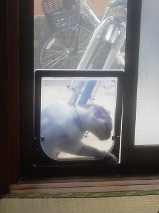 f:id:matsumatsuko:20130603164703j:image f:id:matsumatsuko:20130603164703j:image