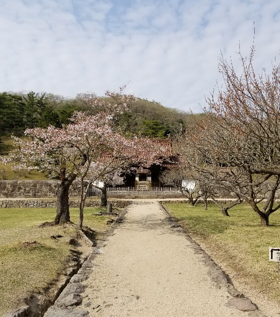 f:id:matsumatsuw:20180410233201j:image