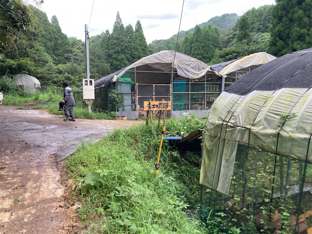 f:id:matsumo_saga:20220905220323j:image