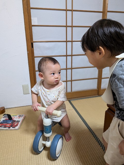 f:id:matsumo_saga:20240831224353j:image