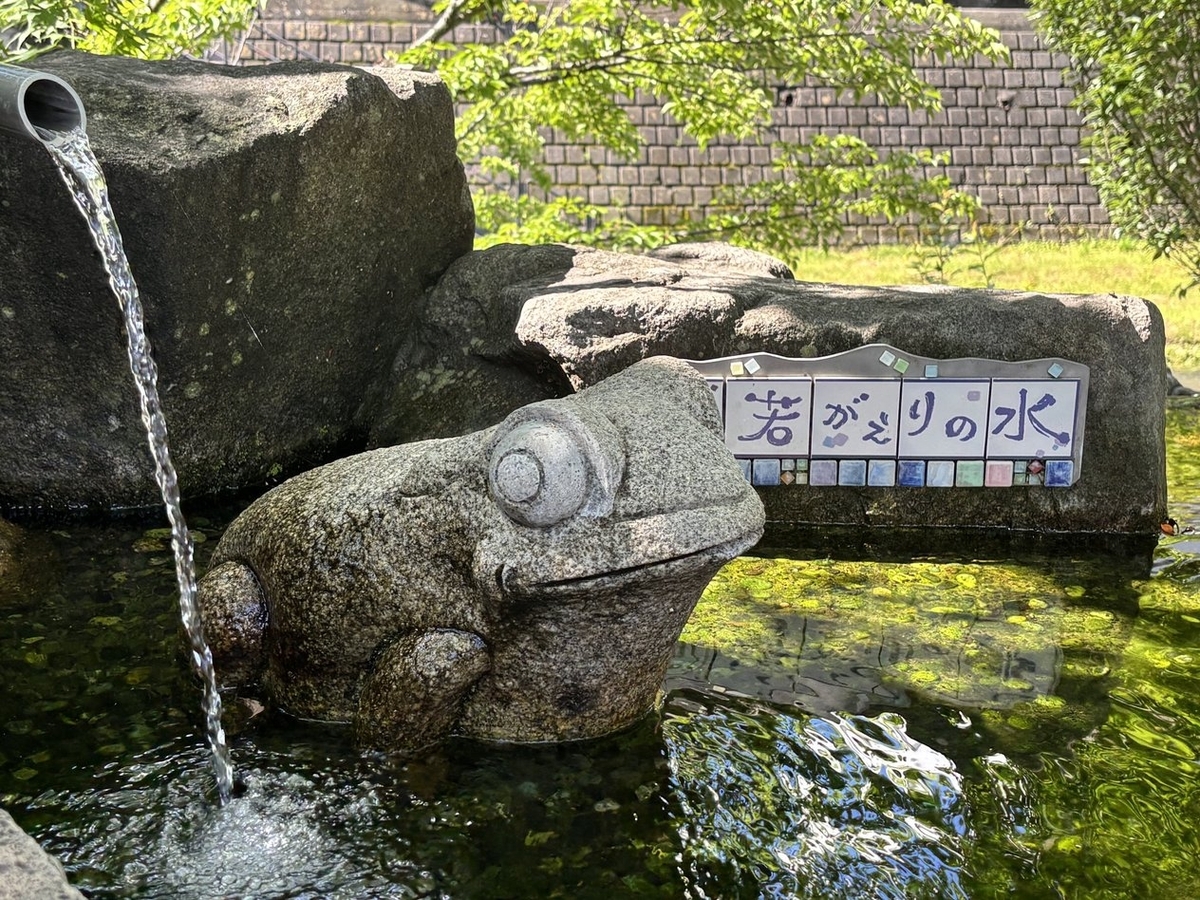 繩手通りと松本かえる祭り - まつもあガイド