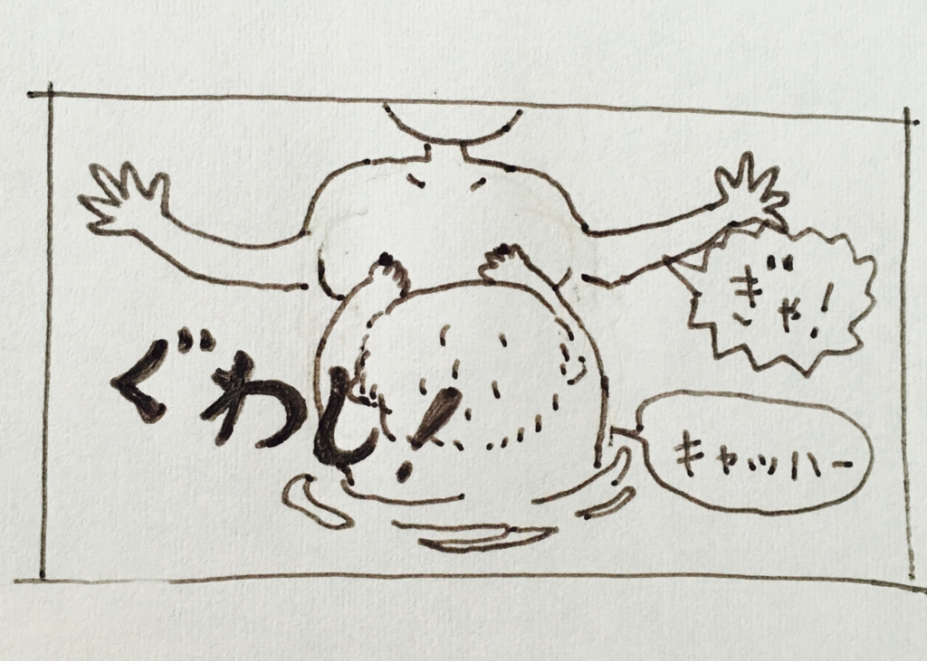 f:id:matsumoto_ten:20170518123008j:plain f:id:matsumoto_ten:20170518123008j:plain