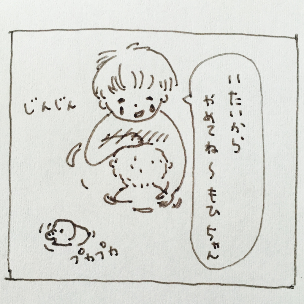 f:id:matsumoto_ten:20170518123045j:plain f:id:matsumoto_ten:20170518123045j:plain