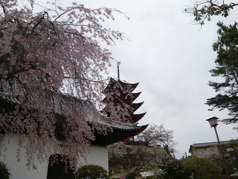 f:id:matsumotolab:20120413125135j:image:w480