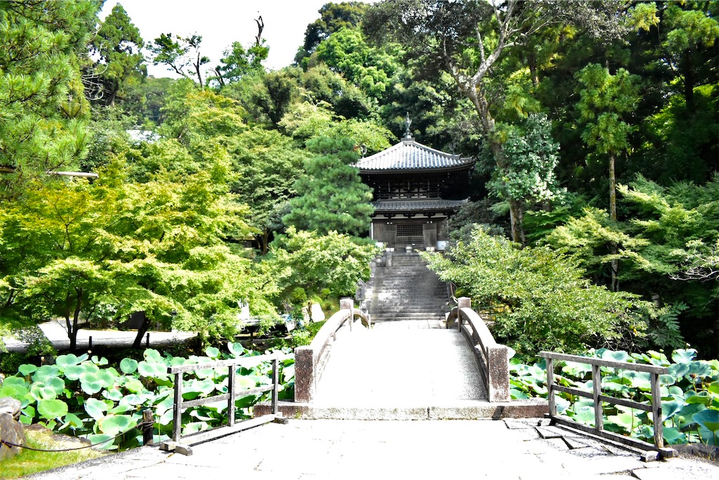 f:id:matsumotoyusuke:20201018150133j:image