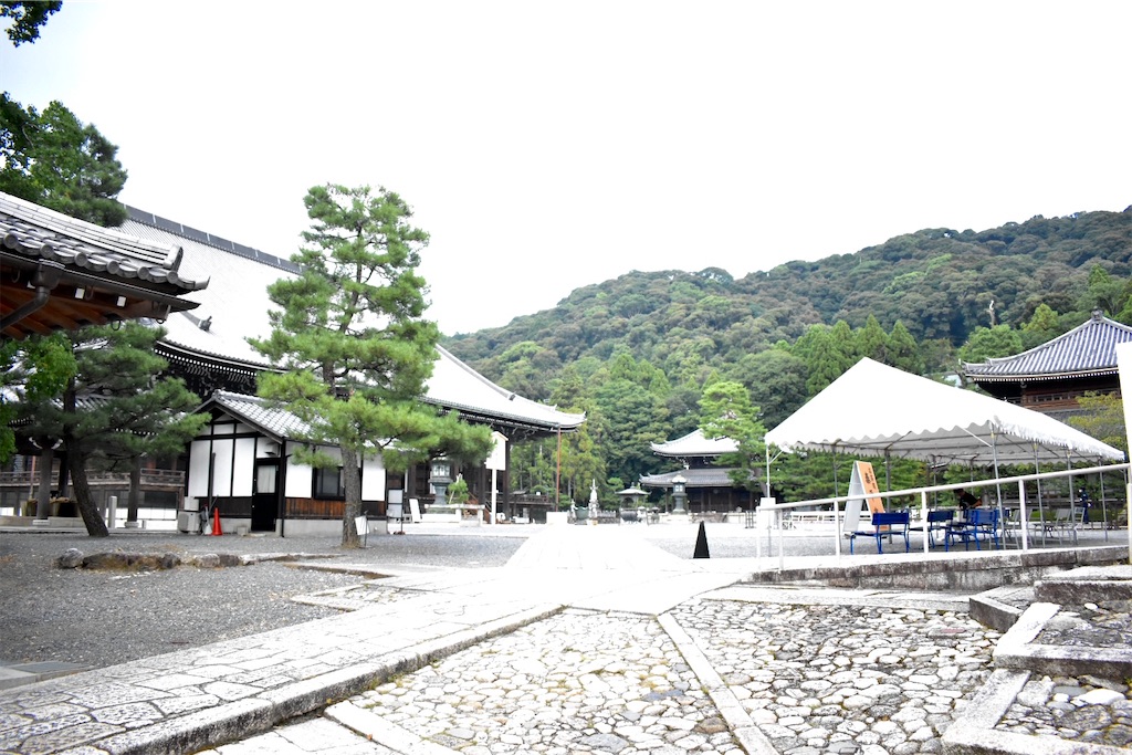 f:id:matsumotoyusuke:20201018150152j:image