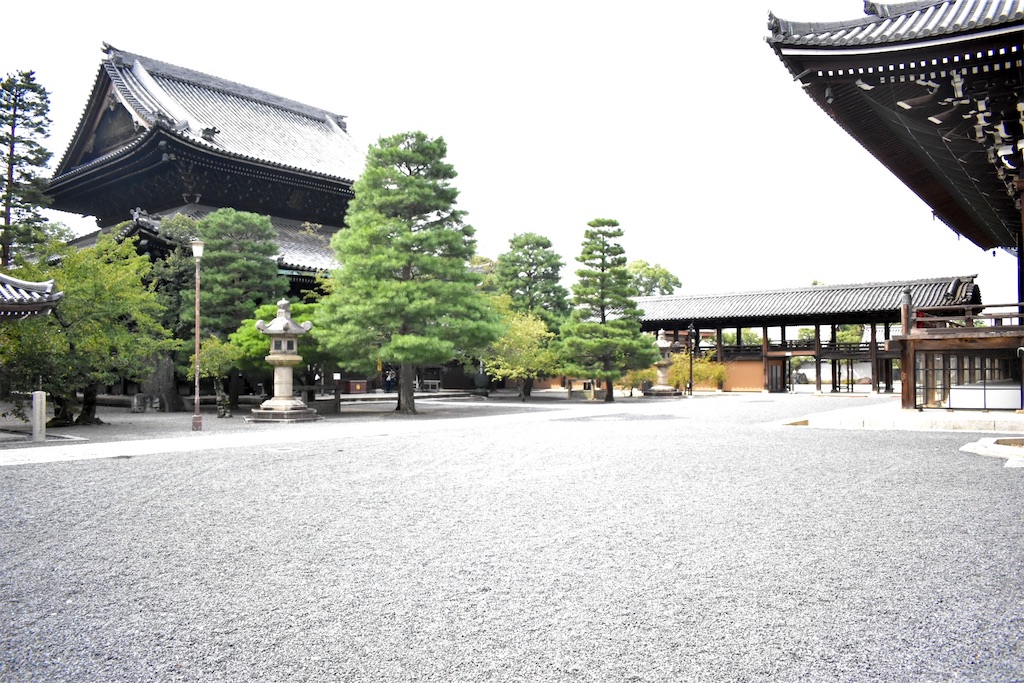 f:id:matsumotoyusuke:20201018150223j:image