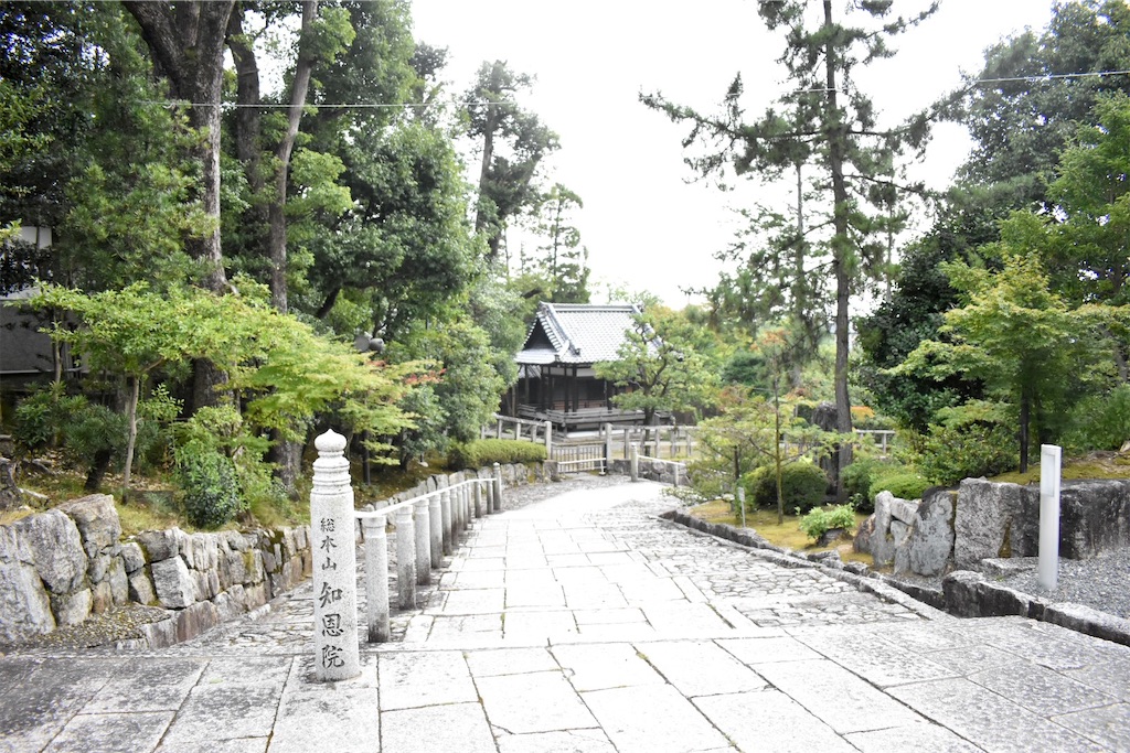 f:id:matsumotoyusuke:20201018150233j:image