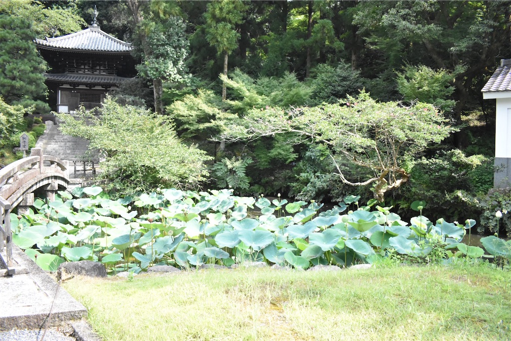 f:id:matsumotoyusuke:20201018150256j:image