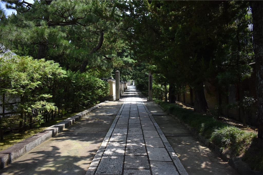 f:id:matsumotoyusuke:20201031191756j:image