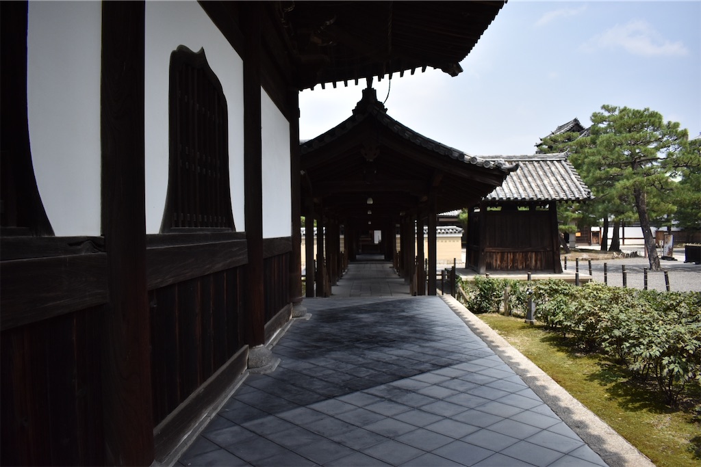 f:id:matsumotoyusuke:20201031192056j:image