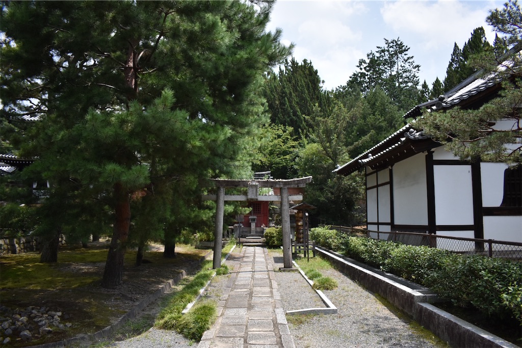 f:id:matsumotoyusuke:20201031192205j:image