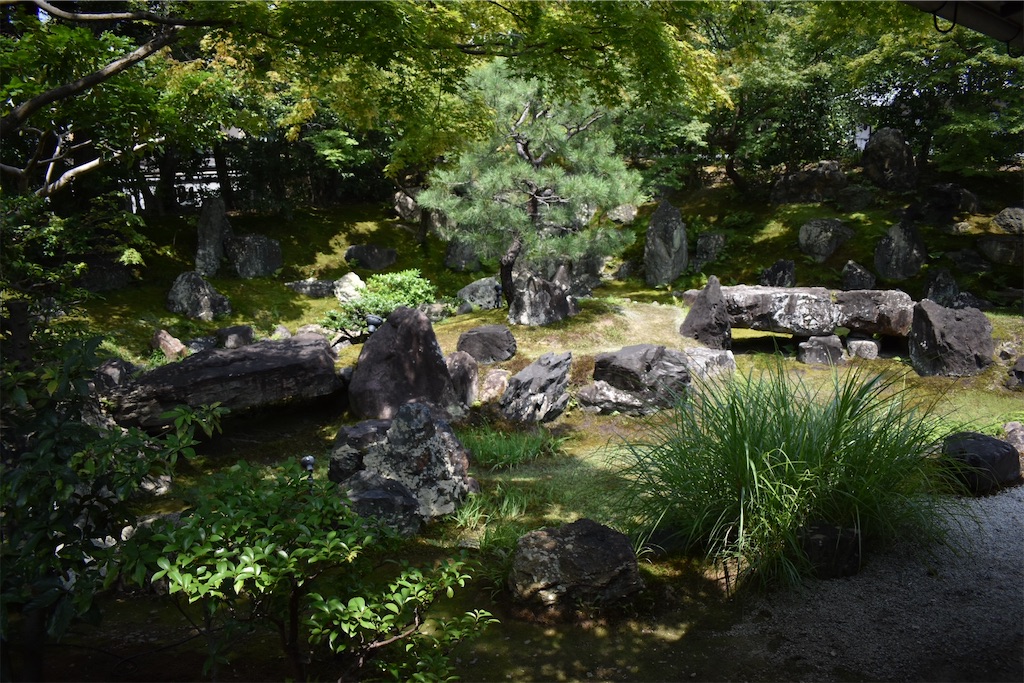 f:id:matsumotoyusuke:20201103192624j:image