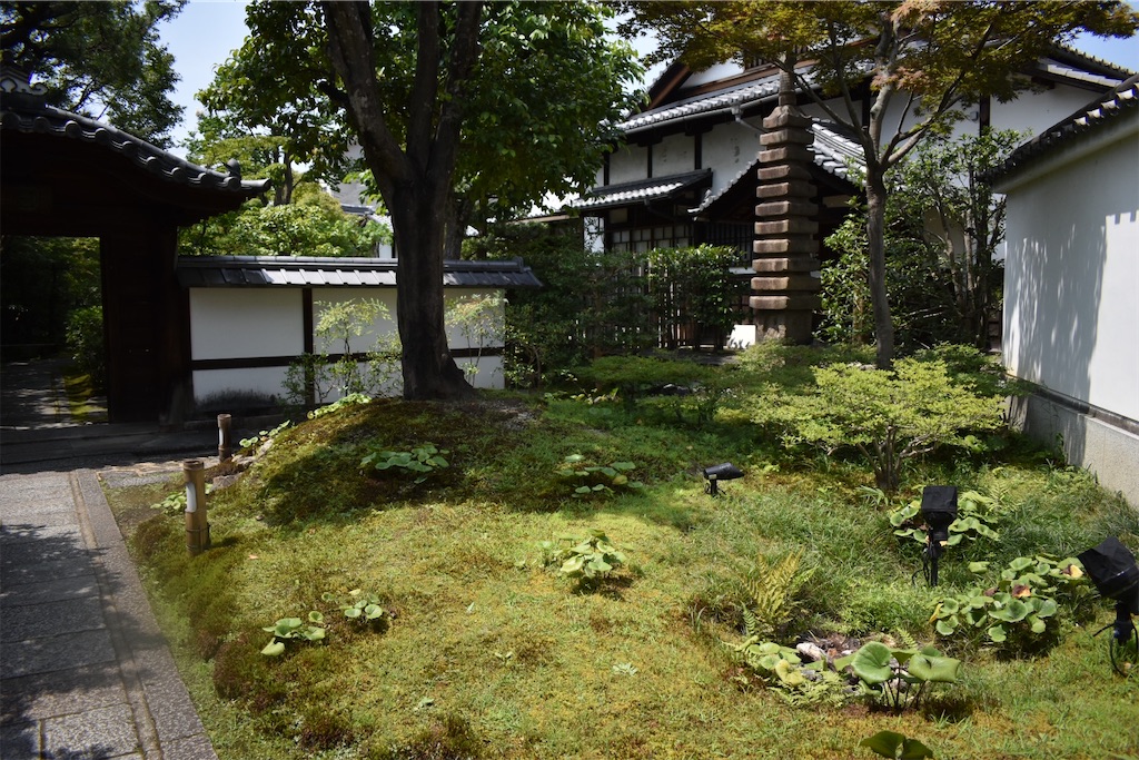 f:id:matsumotoyusuke:20201103193918j:image