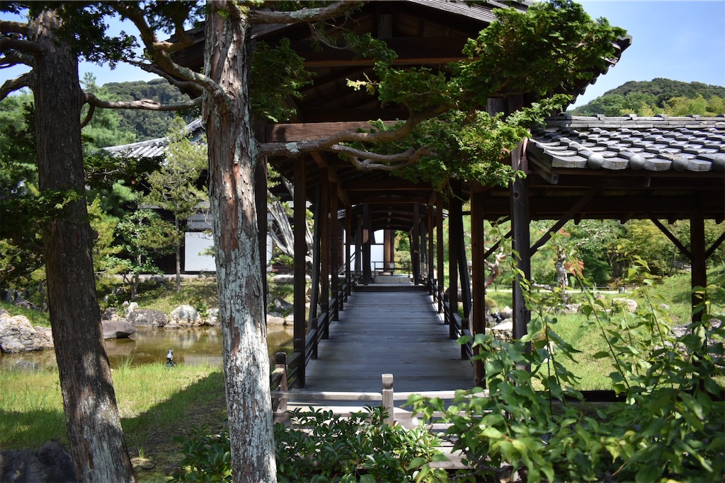 f:id:matsumotoyusuke:20201104195109j:image f:id:matsumotoyusuke:20201104195109j:image