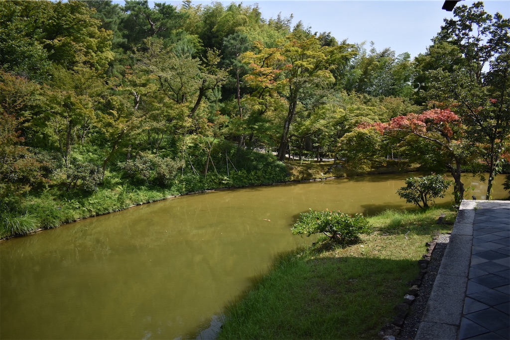 f:id:matsumotoyusuke:20201104195121j:image f:id:matsumotoyusuke:20201104195121j:image