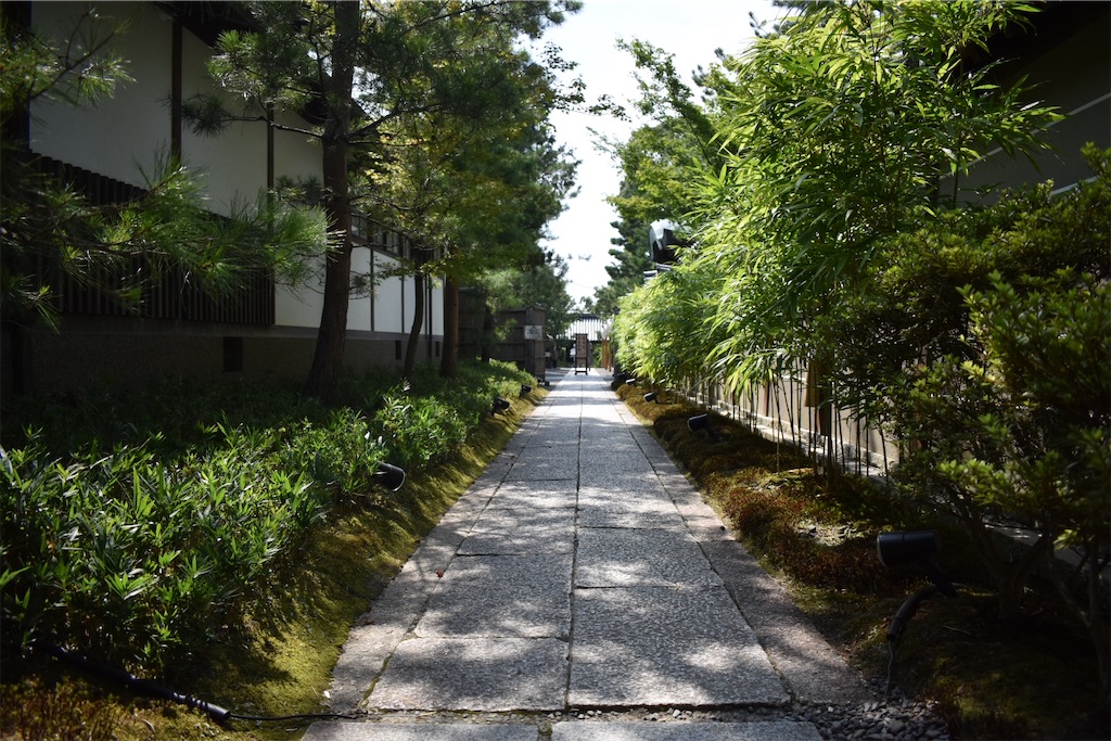 f:id:matsumotoyusuke:20201104195126j:image f:id:matsumotoyusuke:20201104195126j:image
