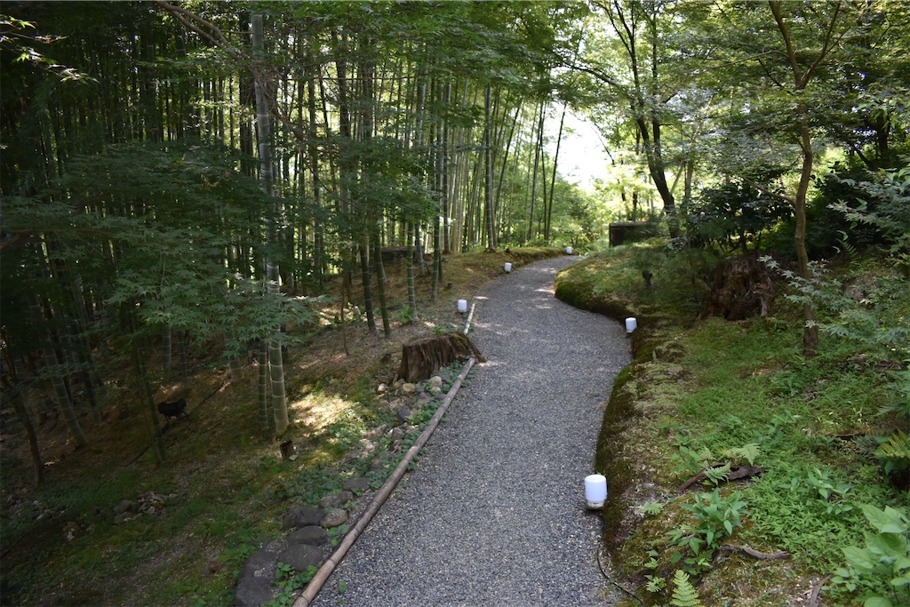 f:id:matsumotoyusuke:20201104195130j:image f:id:matsumotoyusuke:20201104195130j:image