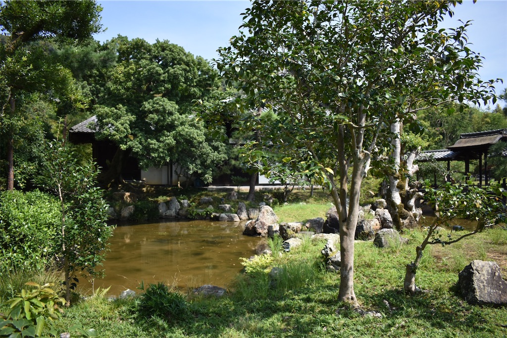 f:id:matsumotoyusuke:20201104195201j:image f:id:matsumotoyusuke:20201104195201j:image