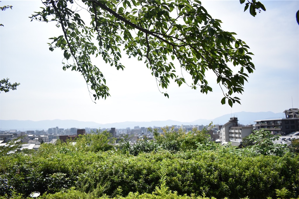 f:id:matsumotoyusuke:20201104195225j:image f:id:matsumotoyusuke:20201104195225j:image