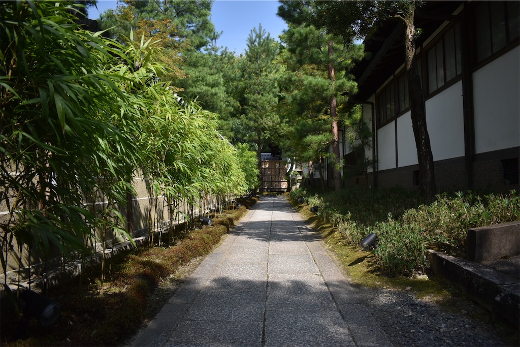 f:id:matsumotoyusuke:20201104195229j:image f:id:matsumotoyusuke:20201104195229j:image