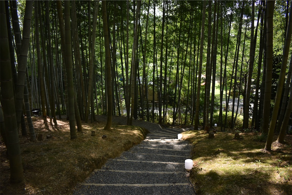 f:id:matsumotoyusuke:20201104195241j:image f:id:matsumotoyusuke:20201104195241j:image