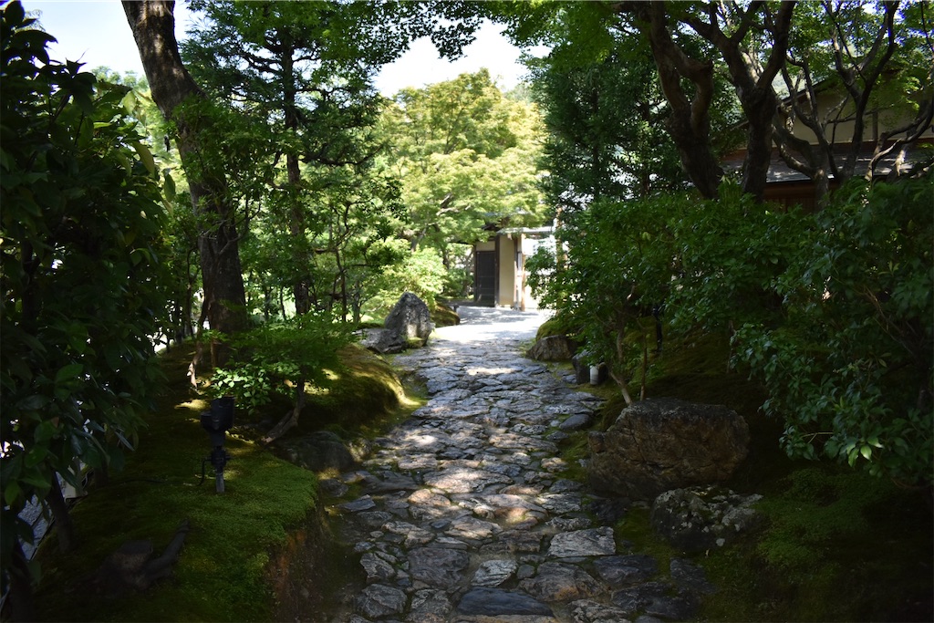 f:id:matsumotoyusuke:20201104195500j:image f:id:matsumotoyusuke:20201104195500j:image