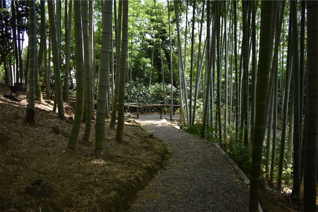 f:id:matsumotoyusuke:20201104195512j:image f:id:matsumotoyusuke:20201104195512j:image