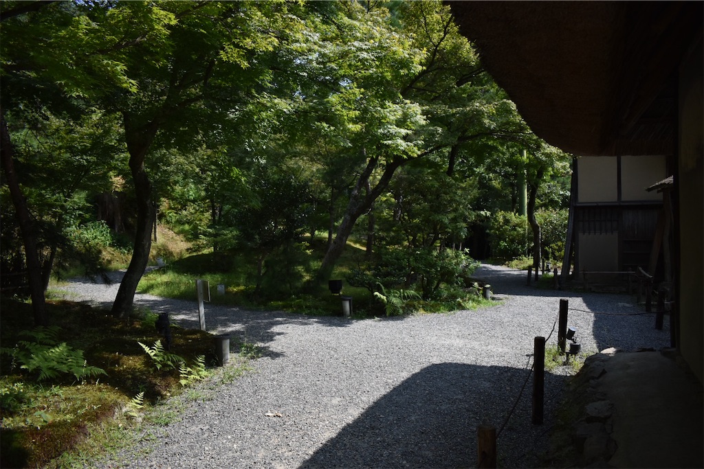 f:id:matsumotoyusuke:20201104195524j:image f:id:matsumotoyusuke:20201104195524j:image