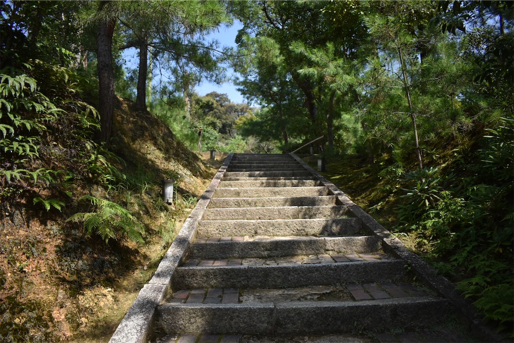 f:id:matsumotoyusuke:20201104195528j:image f:id:matsumotoyusuke:20201104195528j:image