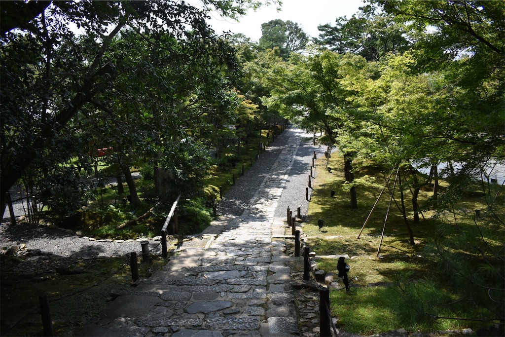 f:id:matsumotoyusuke:20201104195552j:image f:id:matsumotoyusuke:20201104195552j:image