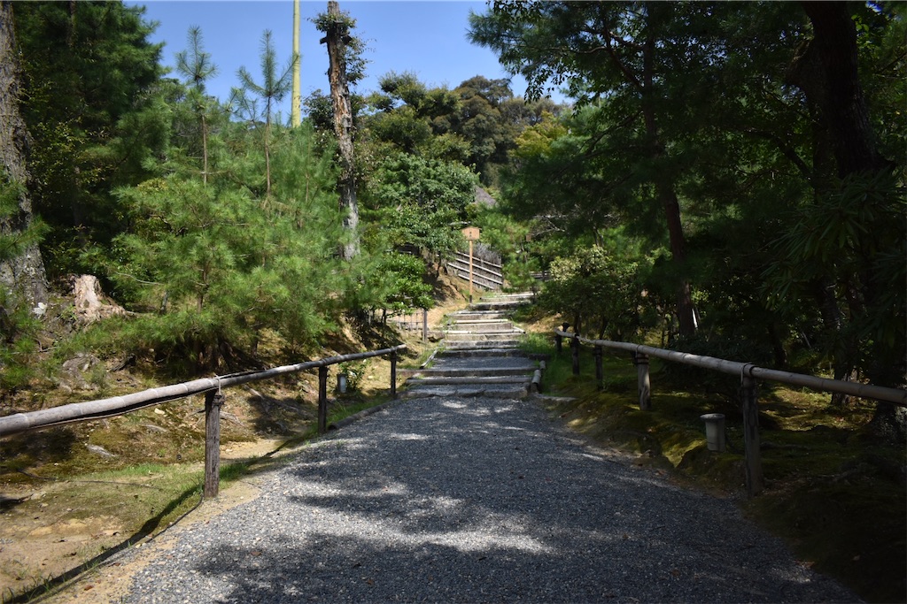 f:id:matsumotoyusuke:20201104195559j:image f:id:matsumotoyusuke:20201104195559j:image