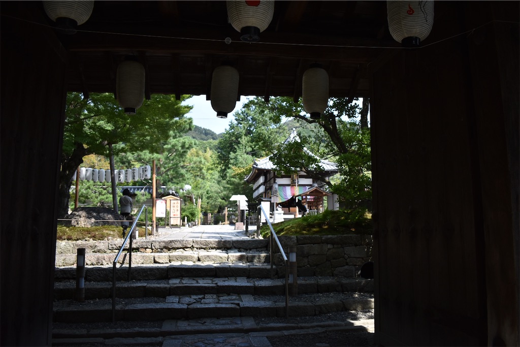 f:id:matsumotoyusuke:20201104195606j:image f:id:matsumotoyusuke:20201104195606j:image