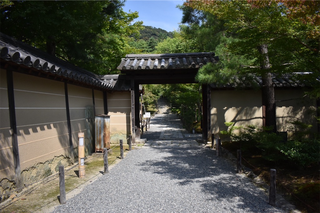 f:id:matsumotoyusuke:20201104195625j:image f:id:matsumotoyusuke:20201104195625j:image