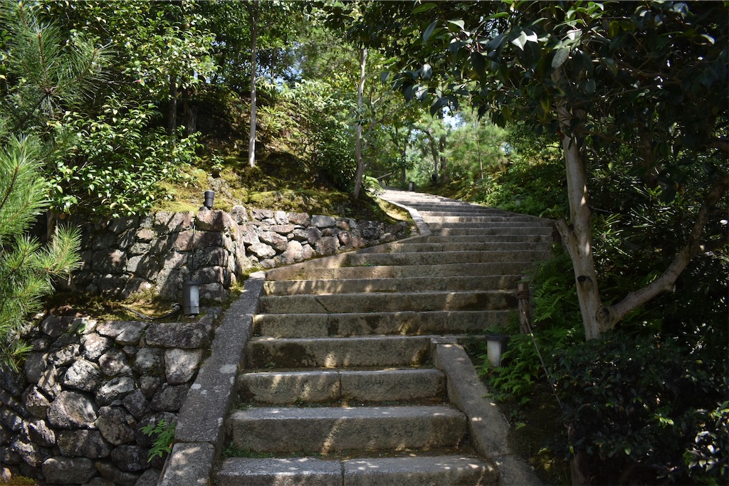 f:id:matsumotoyusuke:20201104195630j:image f:id:matsumotoyusuke:20201104195630j:image